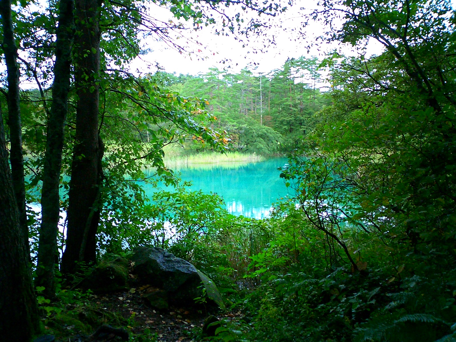 Fukushima